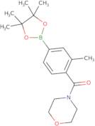 [2-Methyl-4-(4,4,5,5-tetramethyl-[1,3,2]dioxaborolan-2-yl)phenyl]-morpholin-4-yl-methanone