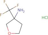 3-(Trifluoromethyl)oxolan-3-amine hydrochloride