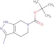 tert-Butyl 3-iodo-1H,4H,5H,6H,7H-pyrazolo[3,4-c]pyridine-6-carboxylate