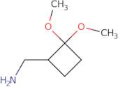(2,2-Dimethoxycyclobutyl)methanamine