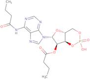 Dibutyryladenosine cyclic 3',5'-monophosphate