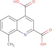 8-Methylquinoline-2,4-dicarboxylic acid