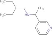 (2-Ethylbutyl)[1-(pyridin-3-yl)ethyl]amine