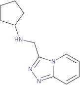 N-{[1,2,4]Triazolo[4,3-a]pyridin-3-ylmethyl}cyclopentanamine