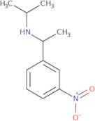 [1-(3-Nitrophenyl)ethyl](propan-2-yl)amine