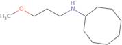 N-(3-Methoxypropyl)cyclooctanamine