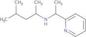 4-Methyl-N-(1-pyridin-2-ylethyl)pentan-2-amine