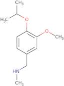 {[3-Methoxy-4-(propan-2-yloxy)phenyl]methyl}(methyl)amine