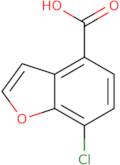 7-Chlorobenzofuran-4-carboxylic acid