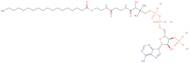 Stearoyl coenzyme A lithium