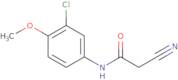 N-(3-Chloro-4-methoxyphenyl)-2-cyanoacetamide