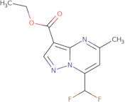 Ethyl 7-(difluoromethyl)-5-methylpyrazolo[1,5-a]pyrimidine-3-carboxylate