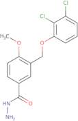 3-[(2,3-Dichlorophenoxy)methyl]-4-methoxybenzohydrazide