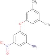 3-(3,5-Dimethylphenoxy)-5-nitroaniline