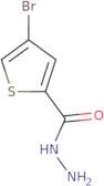 4-Bromothiophene-2-carbohydrazide