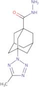 3-(5-Methyl-2H-1,2,3,4-tetrazol-2-yl)adamantane-1-carbohydrazide