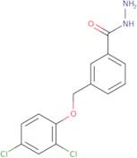 3-[(2,4-Dichlorophenoxy)methyl]benzohydrazide