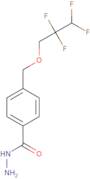4-[(2,2,3,3-Tetrafluoropropoxy)methyl]benzohydrazide