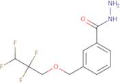 3-[(2,2,3,3-Tetrafluoropropoxy)methyl]benzohydrazide