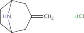 3-Methylidene-8-azabicyclo[3.2.1]octane hydrochloride