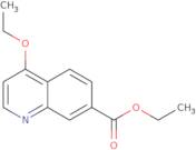 Ethyl 4-ethoxyquinoline-7-carboxylate