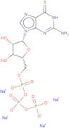 6-Thioguanosine-5'-O-triphosphate sodium salt - 10mM aqueous solution