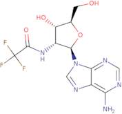 2'-TFA-NH-dA