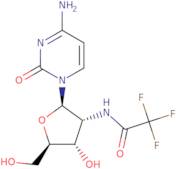 2'-TFA-NH-dC