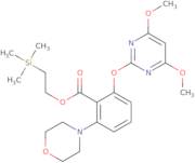 N4-Benzoyl-2'-O-tert-butyldimethylsilylcytidine