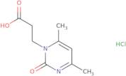 3-(4,6-Dimethyl-2-oxo-1,2-dihydropyrimidin-1-yl)propanoic acid hydrochloride