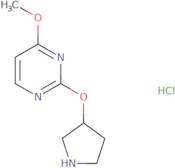 4-Methoxy-2-(pyrrolidin-3-yloxy)pyrimidine hydrochloride