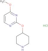 4-Methoxy-2-(piperidin-4-yloxy)pyrimidine hydrochloride