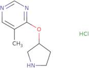 5-Methyl-4-(pyrrolidin-3-yloxy)pyrimidine hydrochloride