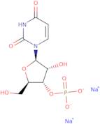 Uridine 3'-monophosphate disodium salt