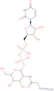 UDP-N-azidoacetylglucosamine