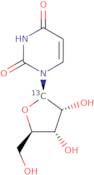 1'-13CUridine