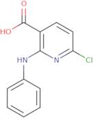 6-Chloro-2-(phenylamino)pyridine-3-carboxylic acid