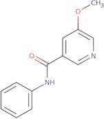 5-Methoxy-N-phenylnicotinamide