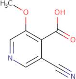3-Cyano-5-methoxyisonicotinic acid