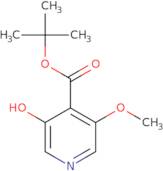 tert-Butyl 3-hydroxy-5-methoxyisonicotinate