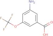 3-Amino-5-(trifluoromethoxy)benzoic acid