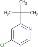 2-tert-Butyl-4-chloropyridine