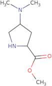 (2S,4R)-Methyl 4-(dimethylamino)pyrrolidine-2-carboxylate