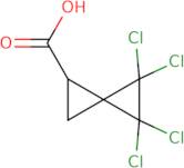 4,4,5,5-Tetrachlorospiro[2.2]pentane-1-carboxylic acid