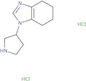 1-(Pyrrolidin-3-yl)-4,5,6,7-tetrahydro-1H-1,3-benzodiazole dihydrochloride
