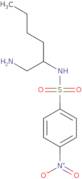 N-(1-Aminohexan-2-yl)-4-nitrobenzenesulfonamide