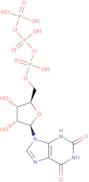 Xanthosine-5'-triphosphate triethylammonium salt - 100 mM aqueous solution