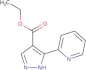 Ethyl 3-(pyridin-2-yl)-1H-pyrazole-4-carboxylate