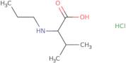 3-Methyl-2-(propylamino)butanoic acid hydrochloride