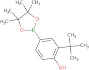 2-tert-Butyl-4-(4,4,5,5-tetramethyl-1,3,2-dioxaborolan-2-yl)phenol